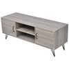 vidaXL TV ormarić 120 x 40 x 45 cm sivi
