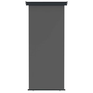 vidaXL Balkonski bočni awning 100 x 250 cm