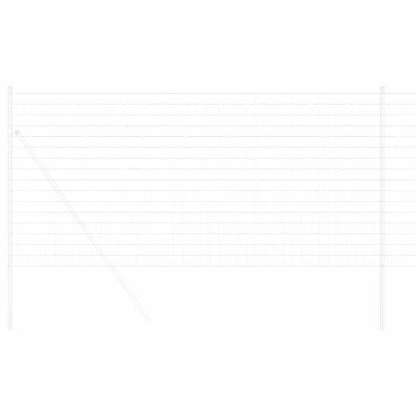 vidaXL Euro ograda 1 x 10 m Željezo prekriveno PVC-om