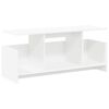vidaXL TV stalak Bijelo 102 x 35 x 45 cm Konstruirano drvo