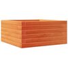 vidaXL Vrtna sadilica vo&scaron;tano smeđa 50 x 50 x 23 cm masivna borovina