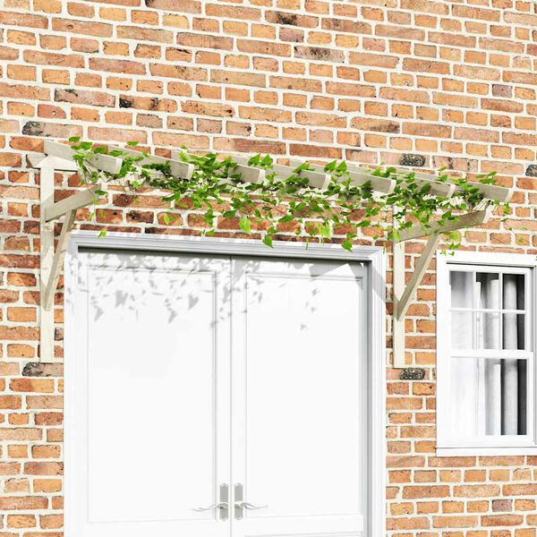 vidaXL Nadstre&scaron;nica za vrata 200 x 100 x 100 cm od masivne borovine