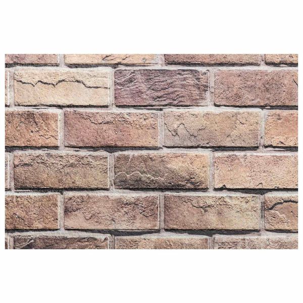 vidaXL Zidne panele 10 pcs Smeđa i siva 100 x 50 cm EPS pjena