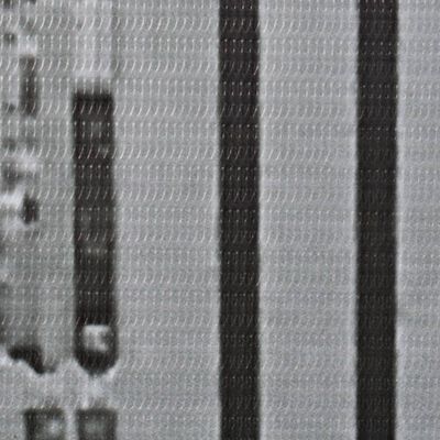vidaXL Sklopiva sobna pregrada sa slikom New Yorka danju 228 x 170 cm