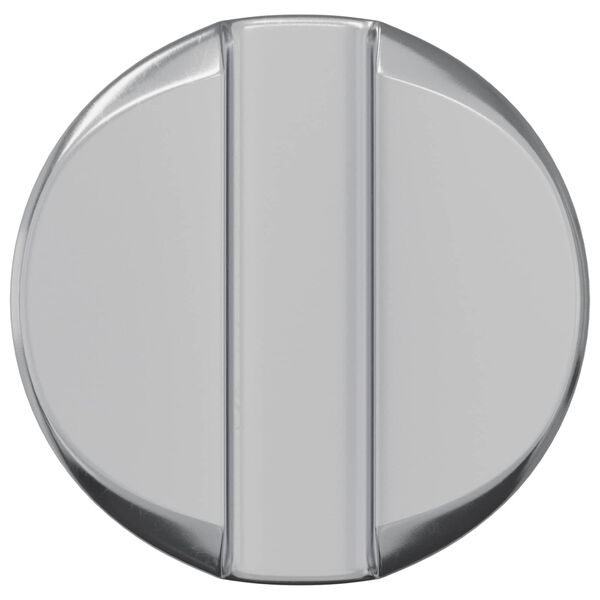 vidaXL Barrel matica 2 pcs Srebrno M6 x 13 mm Željezo