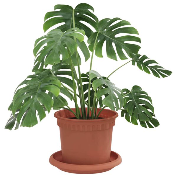 Prikazuje se slika proizvoda 3 od 12