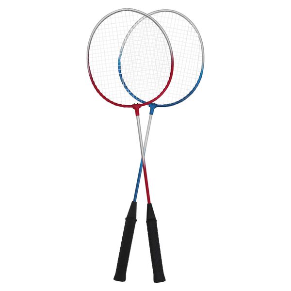 vidaXL Set za badminton s 4 reketa i mrežom 620 x 151 cm