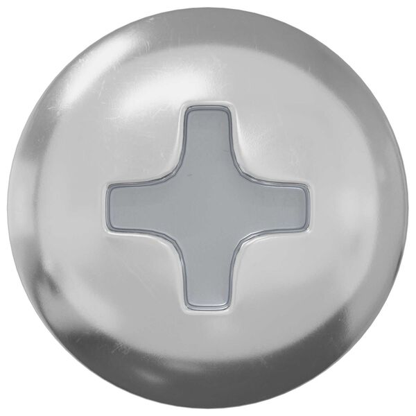 vidaXL Vijak 2 pcs Srebrno 9,8 x 35 mm Željezo