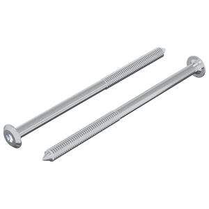 vidaXL Vijak 2 pcs Srebrno M6 x 100 mm Čelik