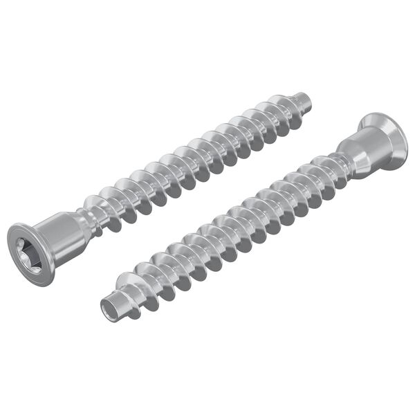 vidaXL Potvrđivački vijci 2 pcs Srebrno &Oslash;7 x 58 mm Metal