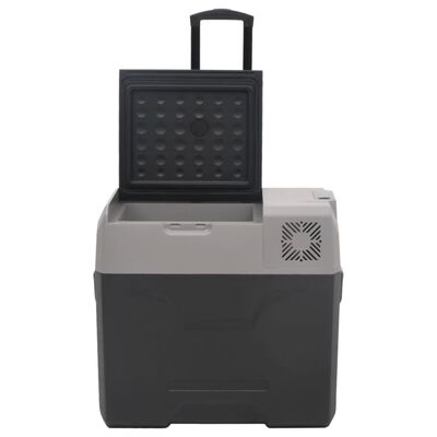 vidaXL Prijenosni hladnjak s kotačima i adapterom crno-sivi 30 L PP