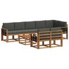 vidaXL Set vanjskih sofa s jastukom 9 pcs Prirodna i antracit