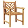 vidaXL Vrtna stolica 2 pcs 60 x 58 x 90 cm Čvrsto teak drvo