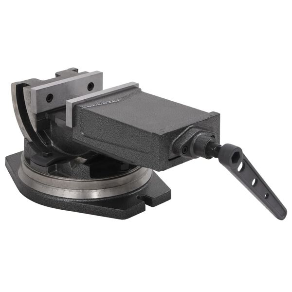 vidaXL Nagibna stega s 2 osovine 160 mm