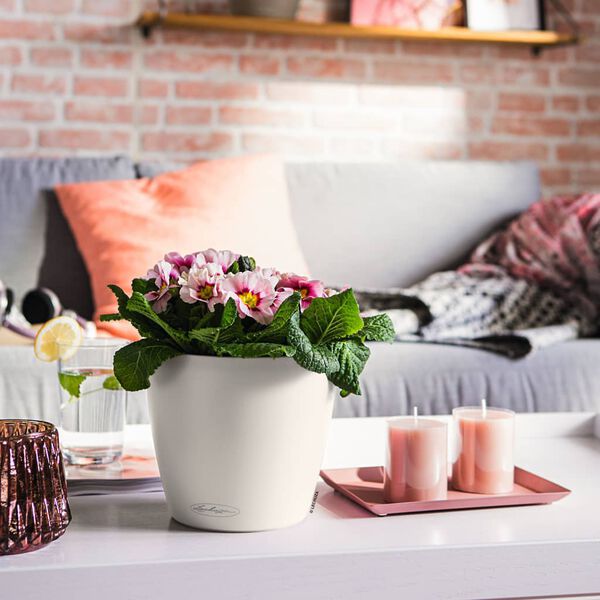 LECHUZA sadilica CLASSICO Color 21 ALL-IN-ONE bijela