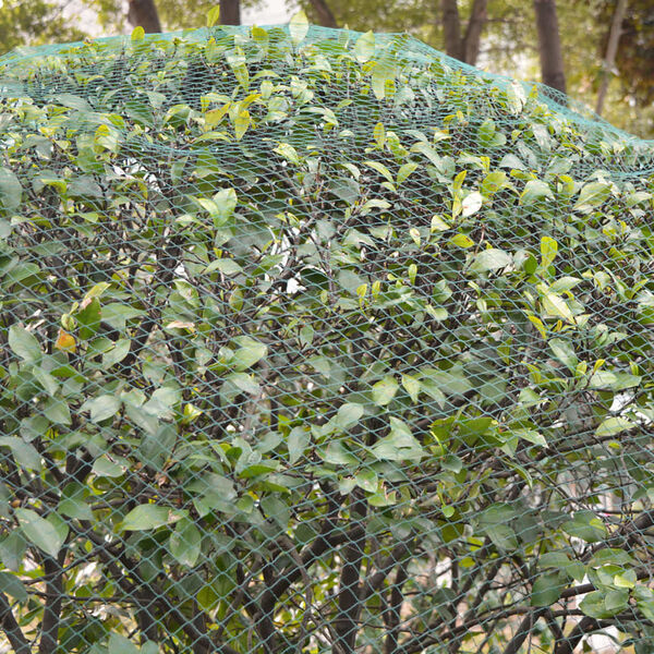 vidaXL Mreže za Zaštitu od Ptica 2 kom 6x6 m PE