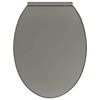 vidaXL Toaletna daska s mekim zatvaranjem siva ovalna