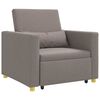 vidaXL Sofa na razvlačenje Singl Sivo-smeđa tkanina