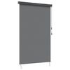 vidaXL Rolo zavjesa Svjetlosiva 120 x 250 cm Tkanina i aluminij