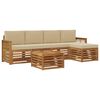 vidaXL Set vanjskih sofa s jastukom 6 pcs Prirodna i bež