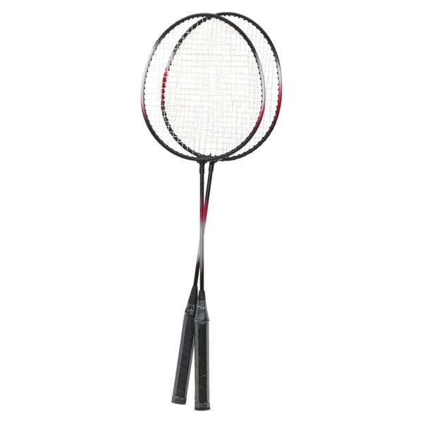 vidaXL Set za badminton s 2 reketa, mrežom i pohranom 292x30x152 cm