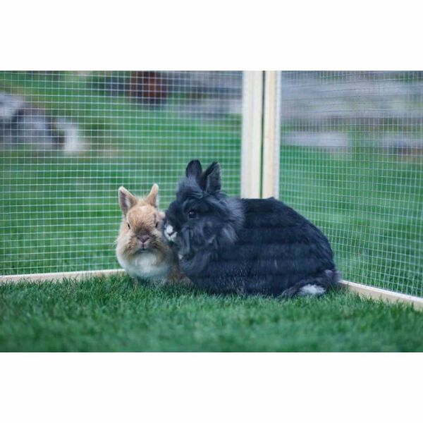 Kerbl vanjska ograda za kućne ljubimce Vario drvena smeđa 84399