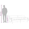 vidaXL Kauč na razvlačenje s jastucima svjetlosivi bar&scaron;unasti