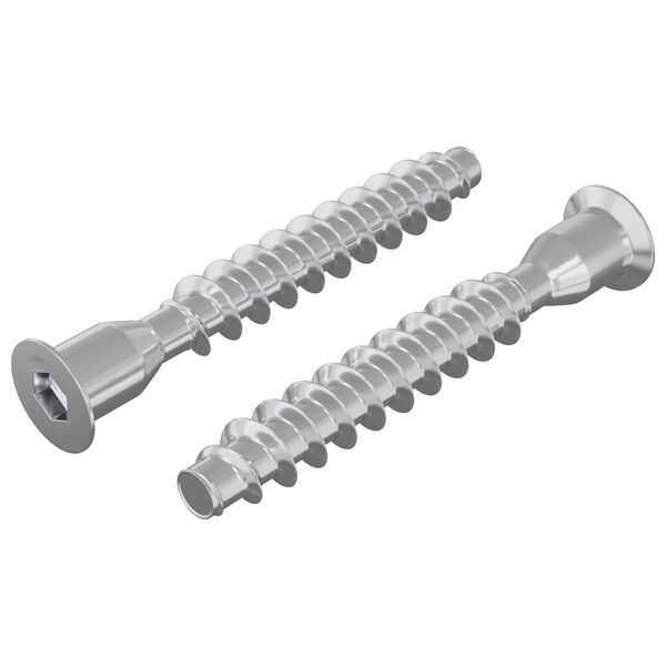 vidaXL Potvrđivački vijci 2 pcs Srebrno &Oslash;7 x 50 mm Metal