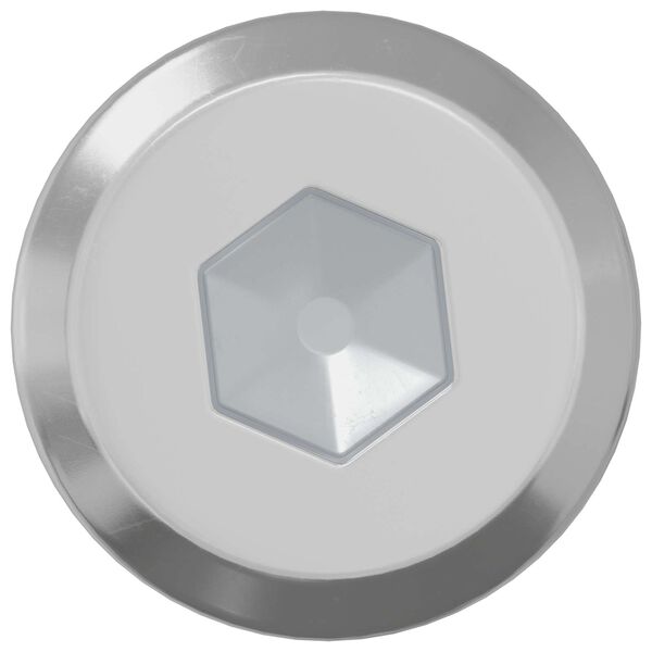 vidaXL Vijak za zaključavanje 2 pcs Srebrno M6 x 30 mm Čelik