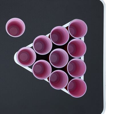 vidaXL Sklopivi stol za pivski pong s čašama i lopticama 240 cm