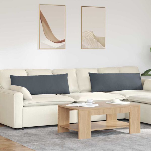 vidaXL Jastučići za sofu 2 pcs Tamno siva 120 x 40 cm Kordura tekstil