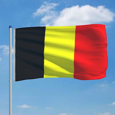 vidaXL Belgijska zastava s aluminijskim stupom 6 m