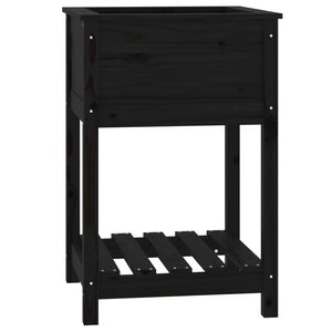 vidaXL Sadilica s policom crna 54x54x81 cm od masivne borovine