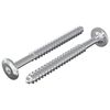 vidaXL Drvene vijake 2 kom. Srebrna M6 x 70 mm Čelik