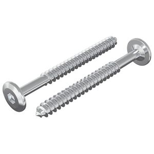 vidaXL Drvene vijake 2 kom. Srebrna M6 x 70 mm Čelik