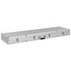 vidaXL Kutija za oružje srebrna 134 x 35 x 12 cm aluminijska
