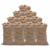 vidaXL Jutene vreće 10 kom 65 x 135 cm 100 % juta 220 g/m&sup2;