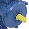 vidaXL Trofazni električni motor aluminijski 3 kW / 4 KS 2840 o/min