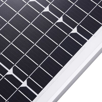 vidaXL Solarne ploče monokristalne 2 kom 100 W od aluminija i stakla