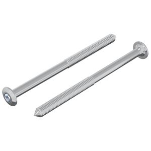 vidaXL Vijak 2 pcs Srebrno M6 x 85 mm Čelik