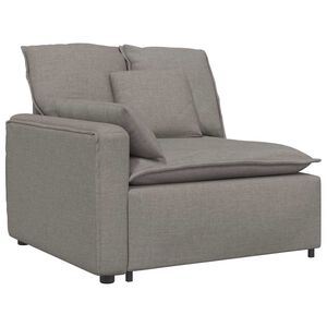 vidaXL Modularni kauč s naslonom za ruke i jastucima, taupe 100 cm