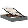 vidaXL Krevet s prostorom za pohranu s LED-om Tamno siva 120 x 190 cm