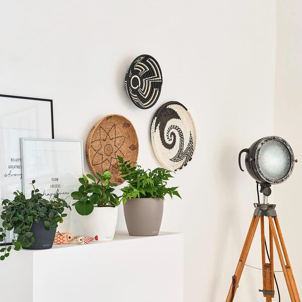 LECHUZA sadilica CLASSICO Color 18 ALL-IN-ONE boja &scaron;kriljevca