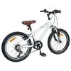 vidaXL Kids Mountain Bike 20 Inča 6-Speed za 5-8 godina Bijelo