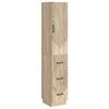 Sonoma_oak