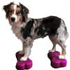 FitPAWS platforma za ravnotežu Mini K9FITbone 2 kom 29 x 16,5 x 6 cm