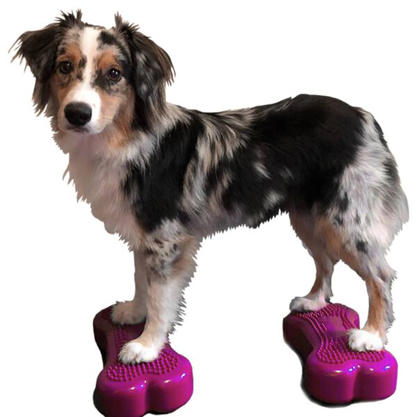 FitPAWS platforma za ravnotežu Mini K9FITbone 2 kom 29 x 16,5 x 6 cm