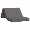 vidaXL Sofa na razvlačenje 100 x 67 x 45 cm Svjetlosiva