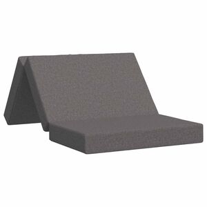 vidaXL Sofa na razvlačenje 100 x 67 x 45 cm Svjetlosiva