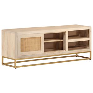 vidaXL TV ormarić 110 x 30 x 40 cm od masivnog drva manga i željeza